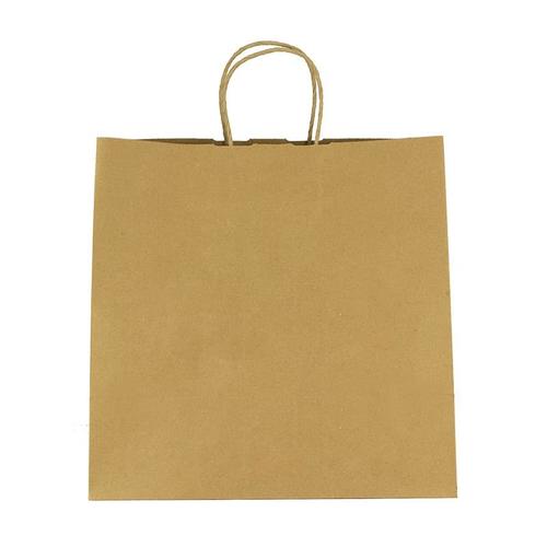 Kraft Paper Brown Shopping Bag   10" X 10"