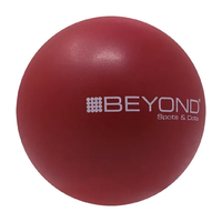 Maroon (Pms 202)
