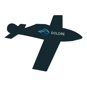 Custom Glider Penny Plane